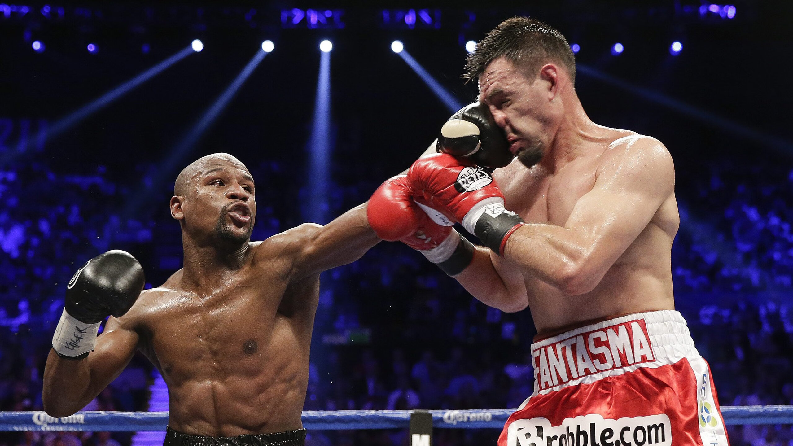 综合格斗赛场焦点！比利时队对阵法国队，历史性突破，球队首次挺进决赛